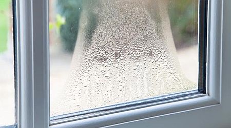 Misted window page Condensation on a window pane, with blurred outdoor scenery visible behind it.